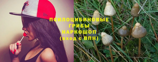 гидропоника Балабаново